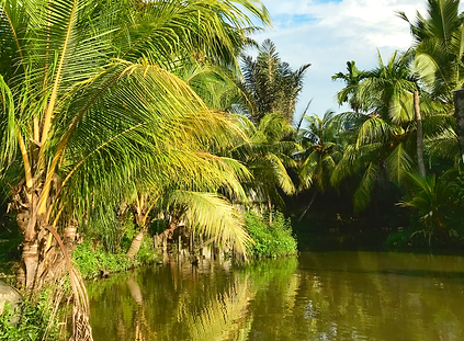 Lingkungan sekolah Chatya Manis